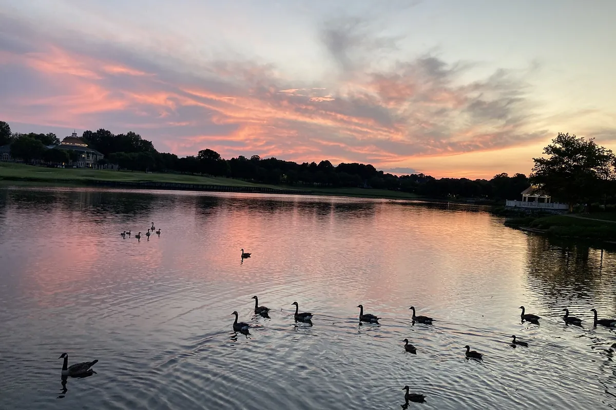 A pond in the Wyndham community, Virginia